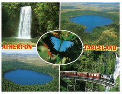 (518) Australia - QLD - Waterfall & Train + Butterfly - Atherton Tablelands