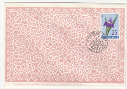 Yugoslavia, 1st Lace Embroidery Day In &#x17D;elezniki 1965 Special Cover & Pmk B170330 - Textile