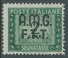 1947-49 TRIESTE A SEGNATASSE USATO 2 LIRE - LL10 - Postage Due