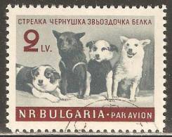 Bulgaria 1961 Mi# 1249  Used - Soviet Space Dogs - Usados