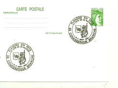 NORD - 59 - COUDEKERQUE BRANCHE - Correspondance Philatélique - Flandre En Fête 1981 - Coudekerque Branche
