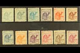 SPANISH SAHARA 1924 "Tuareg And Camel" Complete Set With Blue Control Numbers On The Back, SG 1/12, Mint, Usual... - Altri & Non Classificati