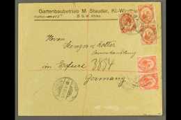 1920 (15 Nov) Printed Env To Germany Bearing 1d Pair And 1½d X3 Union Stamps Tied By "WINDHUK" Cds Cancels,... - Africa Del Sud-Ovest (1923-1990)
