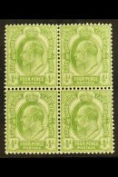 CAPE OF GOOD HOPE 1902-04 4d Olive Green, SG 75, Never Hinged Mint Block Of Four, The Upper Pair With Light Bend... - Non Classificati