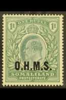 OFFICIAL 1904-05 "O.H.M.S." Overprinted KEVII 1R Green, SG O15, Very Fine Lightly Hinged Mint. For More Images,... - Somaliland (Protectorate ...-1959)