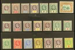 1902-10 MINT KEVII SELECTION A Fine Mint, Attractive Selection On A Stock Card. Includes 1902-03 Set Plus An... - St.Lucia (...-1978)