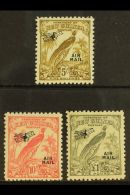 1932-34 Air Opt'd "Raggiana Bird" High Values Set, SG 201/3, Fine Mint (3 Stamps) For More Images, Please Visit... - Papua Nuova Guinea