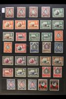 1935-63 FRESH MINT COLLECTION Presented On Stock Pages. Includes 1935 KGV Set To 10s, 1938 KGVI Set To £1x2... - Vide