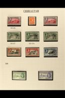 1937-52 FINE MINT COLLECTION Neatly Presented In Mounts On Album Pages. An Attractive, ALL DIFFERENT KGVI... - Gibilterra