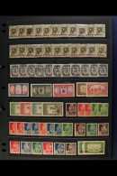 ALGERIA 1924-1980 MINT / NHM ACCUMULATION Presented On Stock Pages In A File Folder. Often Duplicated, Some... - Other & Unclassified