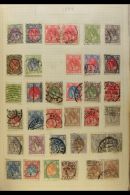 EUROPEAN HOARD IN 7 ALBUMS 1880s To 1970s Mint & Used Ranges (often Lightly Duplicated) In 7 Old Spring Back... - Other & Unclassified