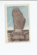 PLOZEVET (FINISTERE) 3753 LE MENHIR ELEVE A LA MEMOIRE DES NAUFRAGES DU DROIT DE L'HOMME - Plozevet