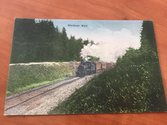 Werdauer Wald Dampflokomotive Bei Greiz Postkarte - Greiz