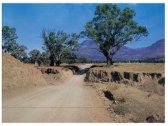 (316) Australia - Sa - Wilpena Creek - Flinders Ranges