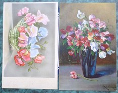 Cpa LOT 2X LITHO Illustrateur ROCH WSSB IMPORT ET COLOPRINT SPECIAL FLEUR POIS DE SENTEUR DANS VASE ELLEZELLES - Collections & Lots