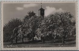 Tagelswangen Im Frühling - Photo: Honegger No. 64 - Egg