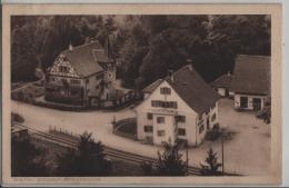 Sihltal - Sihlwald - Restauration - Photoglob No. 05179 - Wald