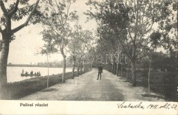 T2/T3 PalicsfürdÅ‘, Palic; Csónakázók, Park / Rowing Boat, Park (EK) - Non Classificati