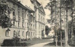 T2 Nagyszeben, Hermannstadt, Sibiu; Városliget, Szanatórium / Stadtpark / Park, Sanatorium - Non Classificati