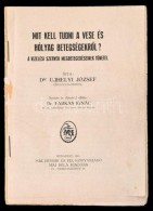 Dr. Ujhelyi József: Mit Kell Tudni A Vese és Hólyag BetegségekrÅ‘l? A Vizelési... - Sin Clasificación