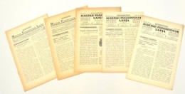 1934-1939 A Magyar Fogorvosok Lapjának  Különlenyomatai, 5 Db - Non Classificati