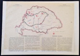 Cca 1920 Cukoripar Magyarországon / Industrie Sucriere En Hongrie, A 'Magyarország Gazdasági... - Andere & Zonder Classificatie