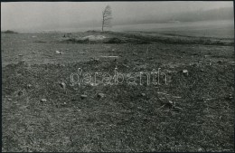 Cca 1975 Zsigri Oszkár (1933-?): ErdÅ‘ Irtás, Pecséttel Jelzett, Vintage... - Altri & Non Classificati