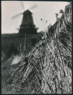 Cca 1972 Zsigri Oszkár (1933-?) Hagyatékából 2 Db Feliratozott, Vintage... - Altri & Non Classificati