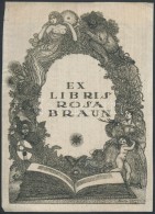 Gara Arnold (1882-1929): Ex Libris Rosa Braun. Klisé, Papír, Jelzett A Klisén, 13×9 Cm - Otros & Sin Clasificación