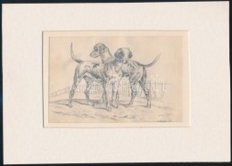 Jelzés Nélkül(cca 1890): Kutyák, Ceruza, Papír, Paszpartuban, 11×16,5 Cm - Altri & Non Classificati