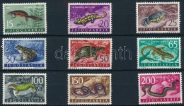 ** 1962 HüllÅ‘k és KétéltÅ±ek Sor Mi 1007-1015 - Altri & Non Classificati