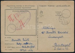 1944 Tábori Posta LevelezÅ‘lap 'M. KIR. 103. GV. LGV. TO. OSZTÁLY / 2. ÁGYUS ÜTEG' - Altri & Non Classificati