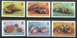 TURKS Et CAICOS 1980 - Yvert 488/93 - Coquillage - Neuf * (MLH) Avec Trace De Charniere - Turks & Caicos