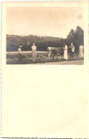 T2 1934 Bodóhegy, Bodonci; Ekézés úri Felügyelettel / Plowing, Photo - Sin Clasificación