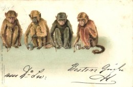* T2/T3 1898 Monkeys Painting, Lith-Artist Anstalt München (vorm. Gebrüder Obpacher) Serie IX. No. 16249.... - Sin Clasificación