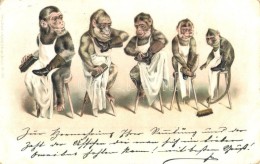 * T2/T3 1899 Monkeys Polishing Shoes, Wittenberg L. Kutzner & Berger No. 200. Litho (EK) - Zonder Classificatie
