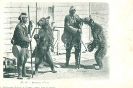 ** T2/T3 No. 66. Danseurs D'ours / Turkish Bear Tamers - Sin Clasificación