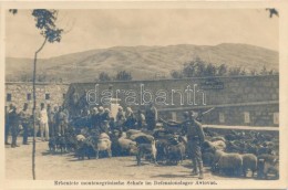 ** T1/T2 Erbeutete Montenegrische Schafe Im Defensionslager Avtovac / K.u.K. Military, Sheep Caught In Camp Avtovac - Non Classificati