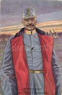 ** T1/T2 Armeekommandant G.d.K. Karl Freiherr Von Pflanzer-Baltin B.K.W.I. 163-1 - Sin Clasificación