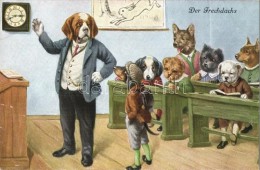 ** T2/T3 Der Frechdachs / Dog School, O.G.Z.L. 289/1580. (EB) - Non Classificati