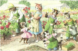 * T2 Cat Gardeners. Colorprint 2274/2. - Zonder Classificatie