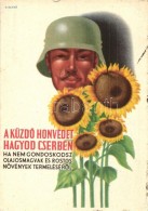 ** T2/T3 Kerted Sarkában Ne Gaz NÅ‘jjön, Hanem Napraforgó! A KüzdÅ‘ Honvédet Hagyod... - Non Classificati