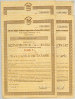 Cegléd 1990. 'Dél-Pest Megyei Általános Fogyasztási és... - Sin Clasificación