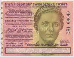 Írország / Cambridge Megye 1962. 'Irish Hospitals' Sweepstake Ticket' Ír... - Non Classificati