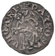 1498-1503K-H Denár Ag 'II. Ulászló' (0,46g) T:2
Huszár: 807., Unger I.: 641.b - Non Classificati