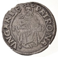 1530K-B Denár Ag 'I. Ferdinánd' (0,49g) T:2
Huszár: 935., Unger II.: 745.a - Non Classificati