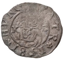 1581K-B Denár Ag 'Rudolf' (0,55g) T:2
Huszár: 1059.,Unger II.: 811.a - Non Classificati