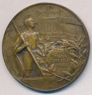 ~1930. 'Újpesti Torna Egylet 1885' Br Emlékérem Hátoldalán 'LUDVIG BPEST'... - Non Classificati