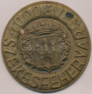 1972. '1000 éves Székesfehérvár' Br Plakett (83mm) T:2 - Non Classificati