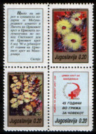 Yugoslavia 1990 Red Cross, Set With Label In Block Of 4 MNH - Postage Due